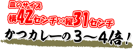 かつカレーの3～4倍！